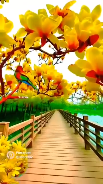 videoframe_2035