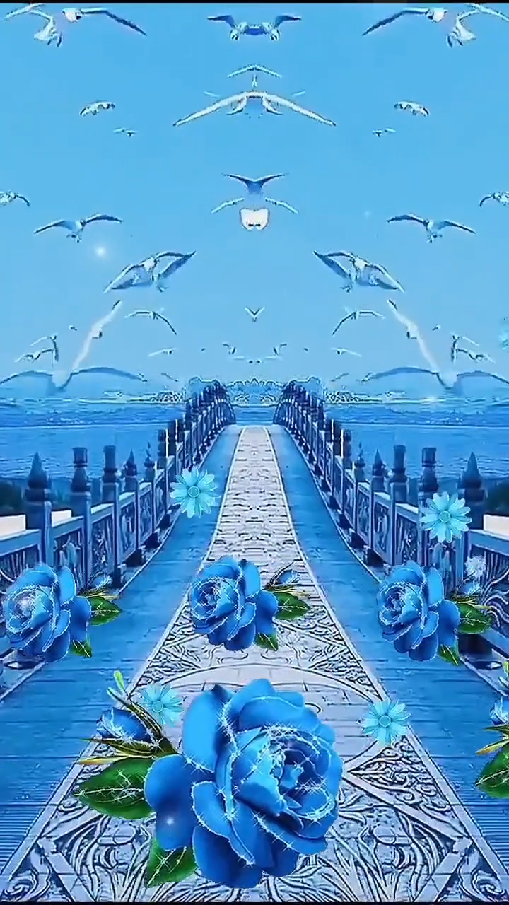 videoframe_5210