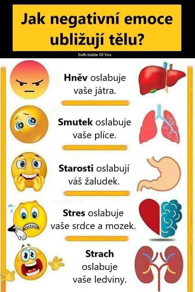 188306bc389dafe2b9bd1eda2b680c11