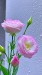 videoframe_2790