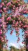videoframe_8678