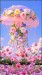 videoframe_9244